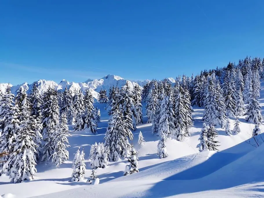La Tour En Belledonne Villa Theys 0*,  France