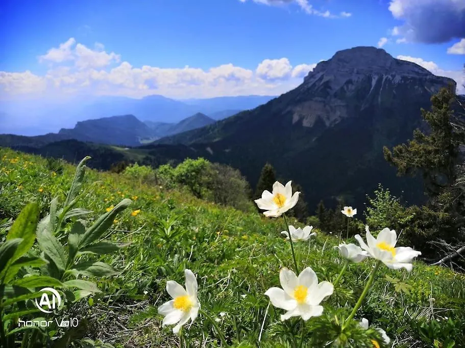 Holiday home La Tour En Belledonne Villa Theys